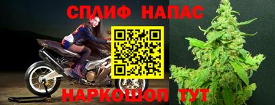 прущие грибы Партизанск