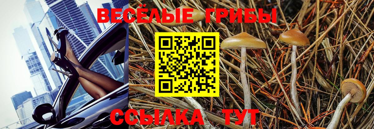 Псилоцибиновые грибы Cubensis  Вход с VPN  Рубцовск  Псилоцибиновые грибы мицелий 