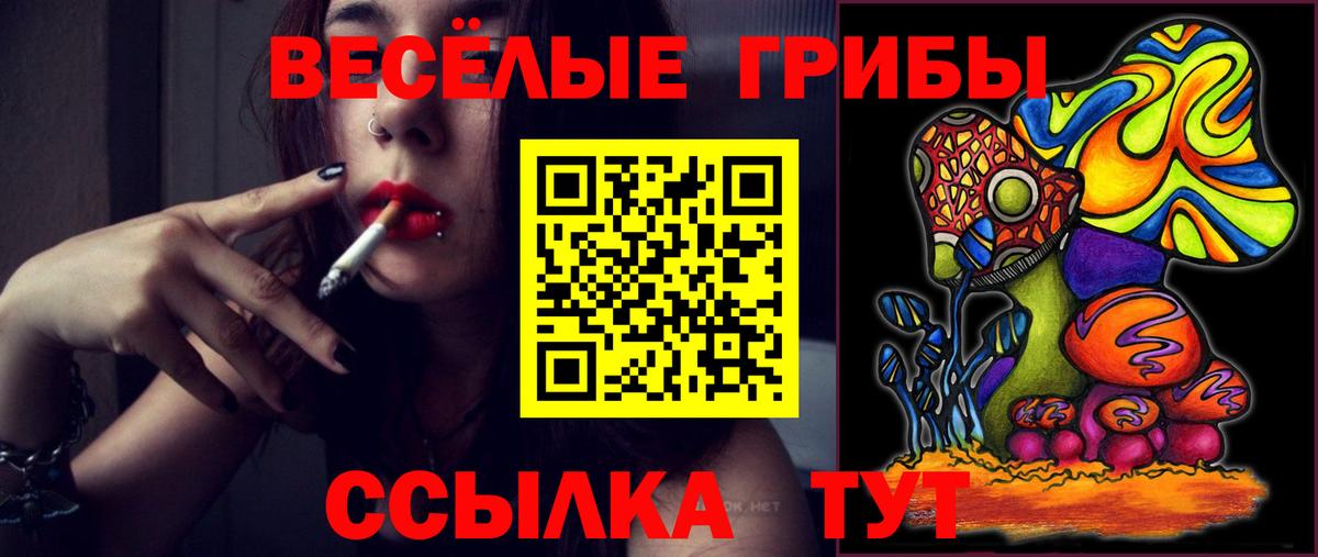 Псилоцибиновые грибы мицелий Рубцовск